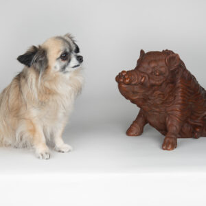 Japanese Wild Boar Okimono by Imperial Artist- Ishikawa Komei